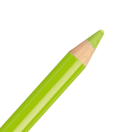 Leaf Green Middle STABILO CarbOthello Pastel Pencil (570)