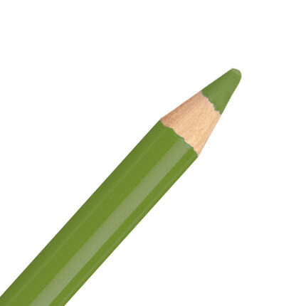 Leaf Green STABILO CarbOthello Pastel Pencil (575)