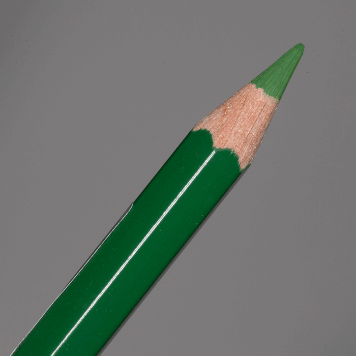 Permanent Green Olive Faber-Castell Albrecht Durer Watercolour Pencil (167)