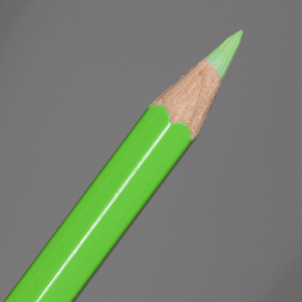 Light Green Faber-Castell Albrecht Durer Watercolour Pencil (171)