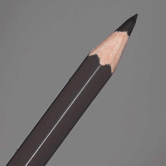 Dark Sepia Faber-Castell Albrecht Durer Watercolour Pencil (175)