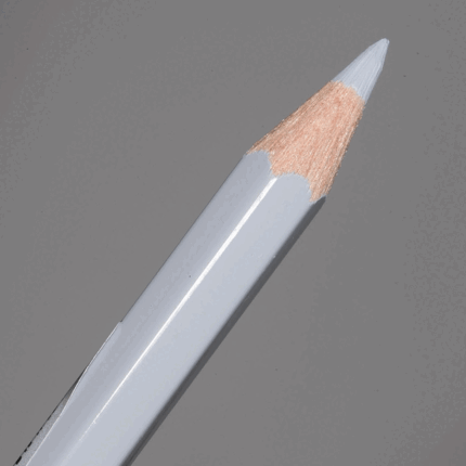 Cold Grey II Faber-Castell Albrecht Durer Watercolour Pencil (231)