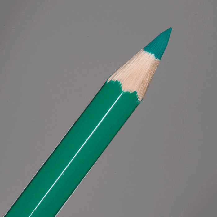 Dark Phthalo Green Faber-Castell Albrecht Durer Watercolour Pencil (264)