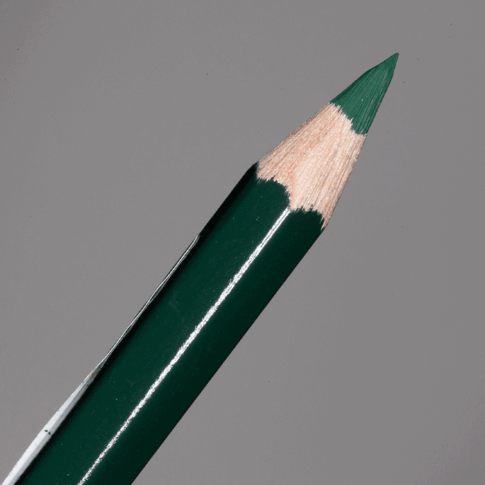 Pine Green Faber-Castell Albrecht Durer Watercolour Pencil (267)