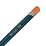 Raw Sienna Derwent Artists Pencil (5800)