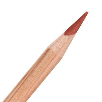 Autumn Red Derwent Lightfast Coloured Pencil