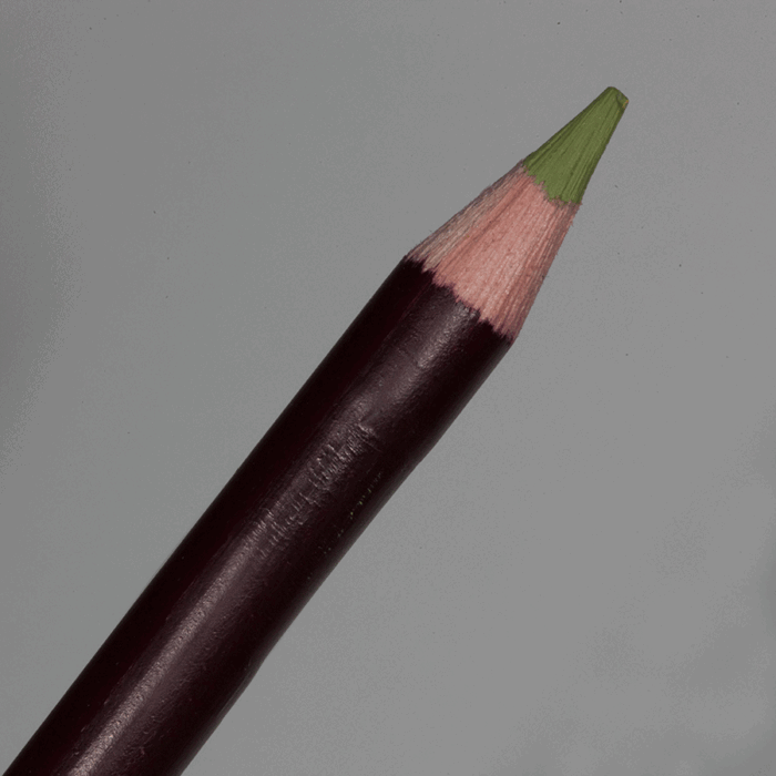 Yellow Green Derwent Coloursoft Pencil (C450)