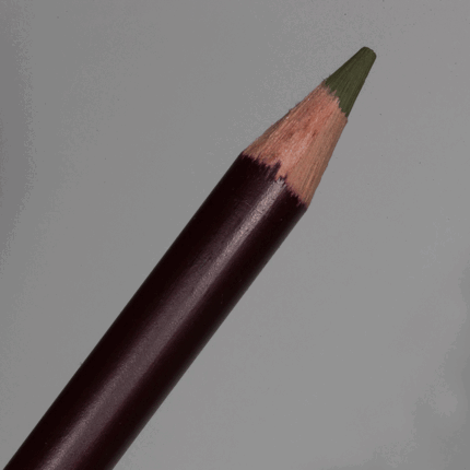 Lincoln Green Derwent Coloursoft Pencil (C480)