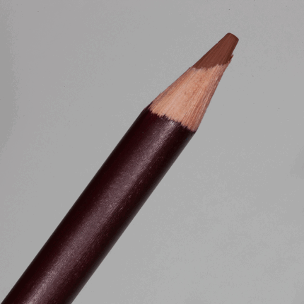 Mid Brown Derwent Coloursoft Pencil (C600)