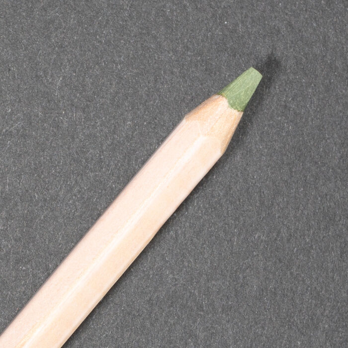 Light Reseda Caran d'Ache Pastel Pencil (017)