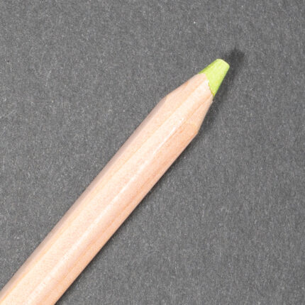 Middle Moss Green 10% Caran d'Ache Pastel Pencil (232)