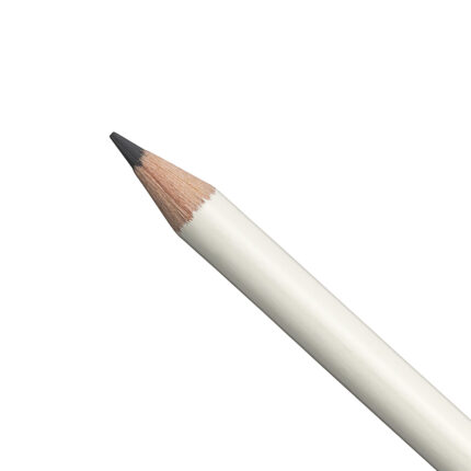 Taupe Irojiten Colour Pencil (D10)