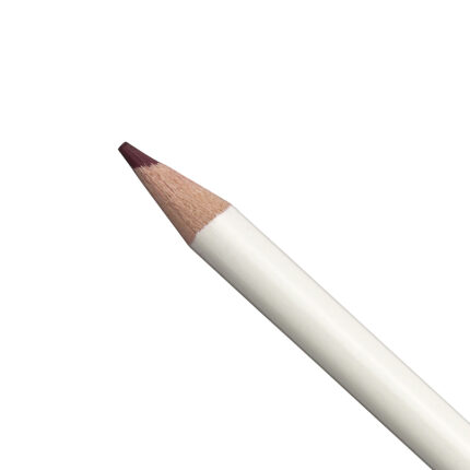 Maroon Irojiten Colour Pencil (D12)