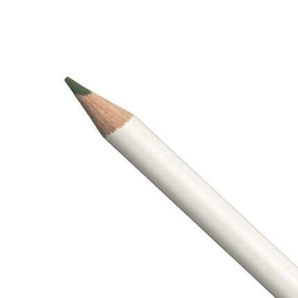 Cactus Green Irojiten Colour Pencil (D17)