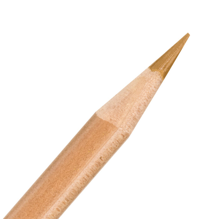 Dark Honey Derwent Lightfast Coloured Pencil