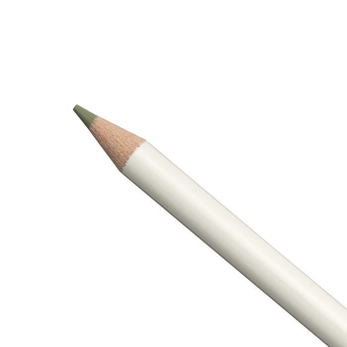 Sage Green Irojiten Colour Pencil (DL4)