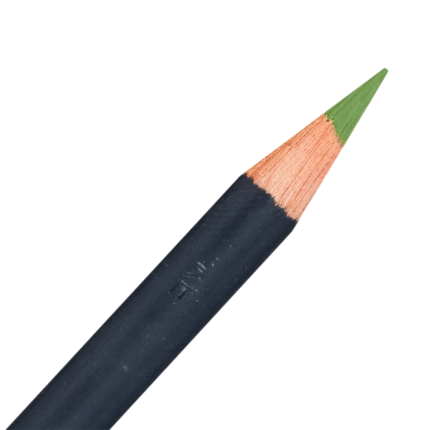 Moss Green Derwent Procolour Coloured Pencil (50)