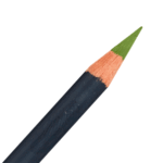 Foliage Derwent Procolour Coloured Pencil (51)