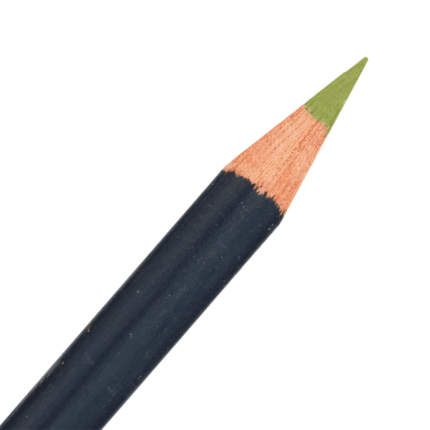 Olive Green Derwent Procolour Coloured Pencil (52)