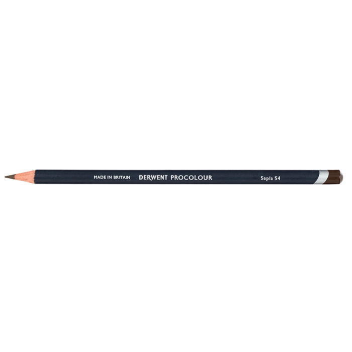 Sepia Derwent Procolour Coloured Pencil (54)