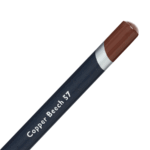 Copper Beech Derwent Procolour Coloured Pencil (57)