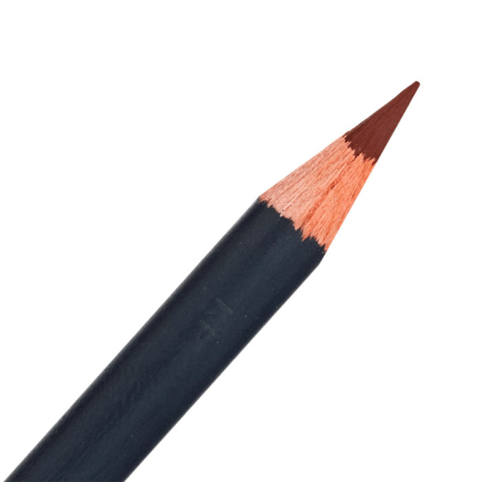 Nutmeg Derwent Procolour Coloured Pencil (65)