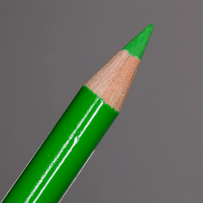 Leaf Green Faber-Castell Polychromos Artists' Colour Pencil (112)