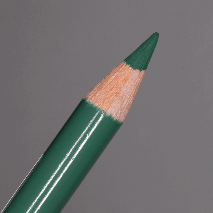 Juniper Green Faber-Castell Polychromos Artists' Colour Pencil (165)