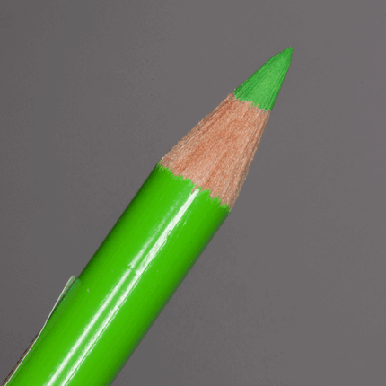 Grass Green Faber-Castell Polychromos Artists' Colour Pencil (166)