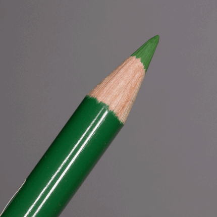 Permanent Green Olive Faber-Castell Polychromos Artists' Colour Pencil (167)