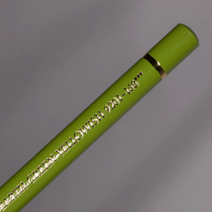 Earth Green Yellowish Faber-Castell Polychromos Artists' Colour Pencil (168)