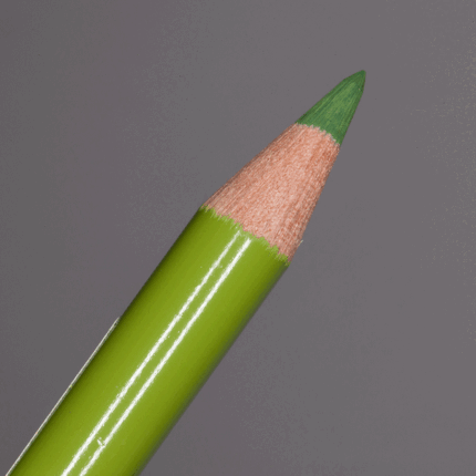 Earth Green Yellowish Faber-Castell Polychromos Artists' Colour Pencil (168)