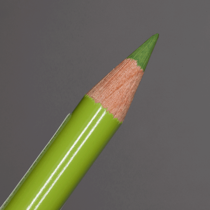 May Green Faber-Castell Polychromos Artists' Colour Pencil (170)