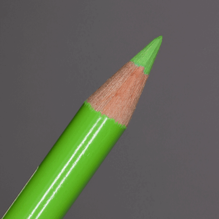 Light Green Faber-Castell Polychromos Artists' Colour Pencil (171)