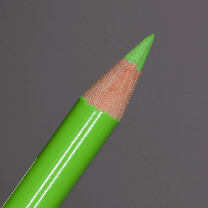 Light Green Faber-Castell Polychromos Artists' Colour Pencil (171)