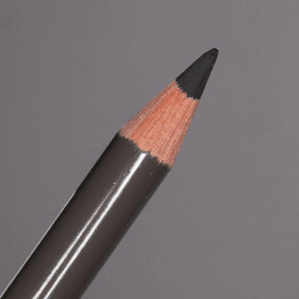 Dark Sepia Faber-Castell Polychromos Artists' Colour Pencil (175)