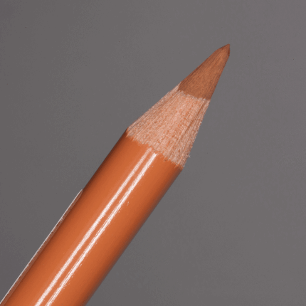 Burnt Ochre Faber-Castell Polychromos Artists' Colour Pencil (187)