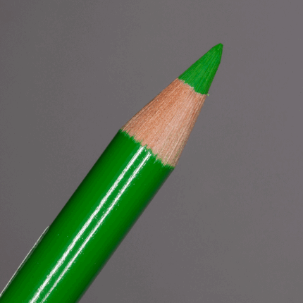 Permanent Green Faber-Castell Polychromos Artists' Colour Pencil (266)