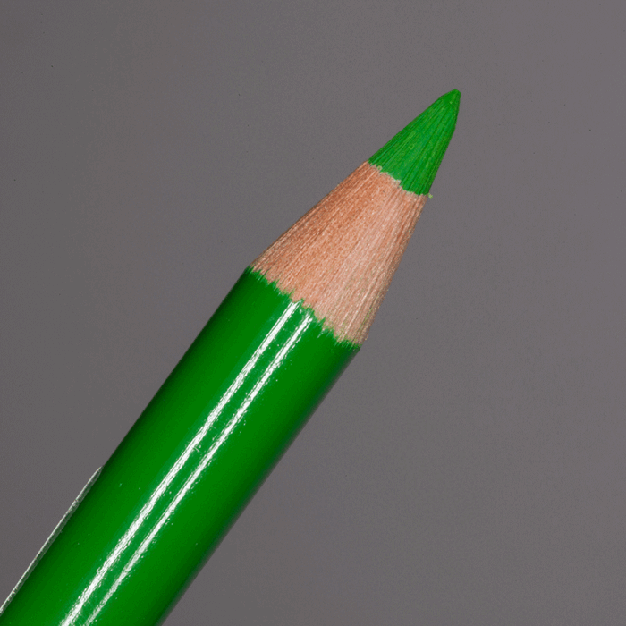 Permanent Green Faber-Castell Polychromos Artists' Colour Pencil (266)