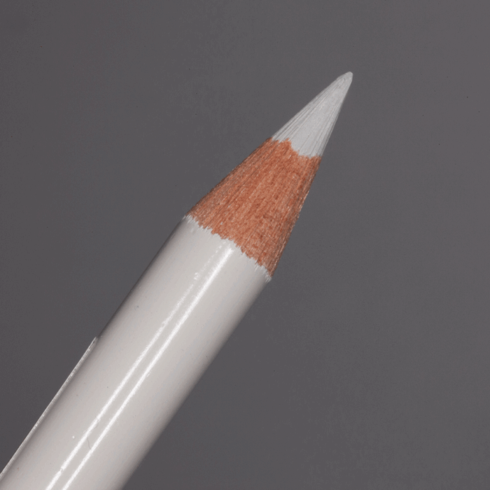 Warm Grey I Faber-Castell Polychromos Artists' Colour Pencil (270)