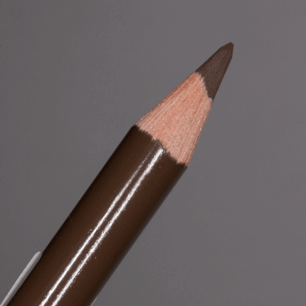 Burnt Umber Faber-Castell Polychromos Artists' Colour Pencil (280)