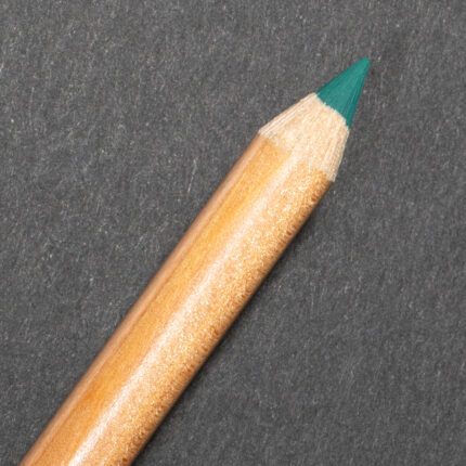 Hooker's Green Faber-Castell Pitt Pastel Pencil (159)