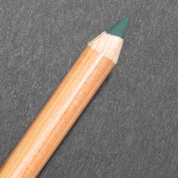 Juniper Green Faber-Castell Pitt Pastel Pencil (165)