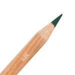 Forest Derwent Lightfast Coloured Pencil