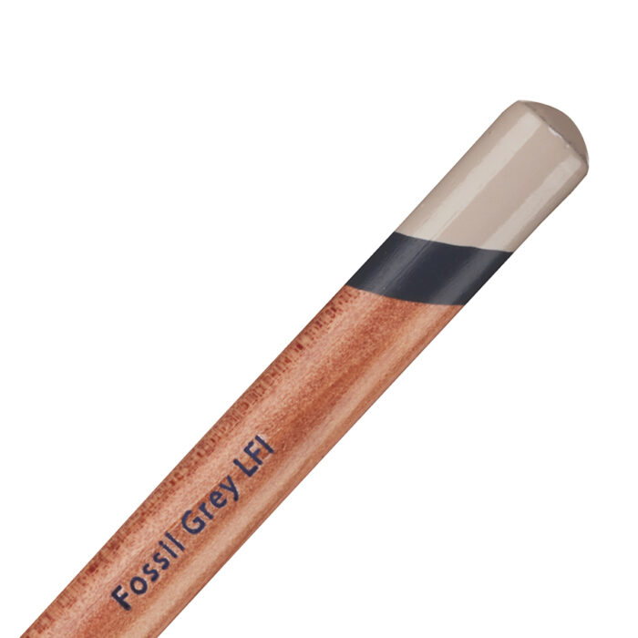 Fossil Grey Derwent Lightfast Coloured Pencil