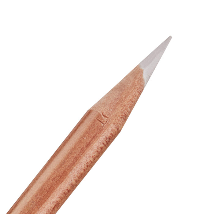 Fossil Grey Derwent Lightfast Coloured Pencil