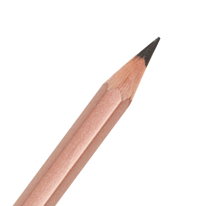 Derwent Metallic Graphite Pencil (03)