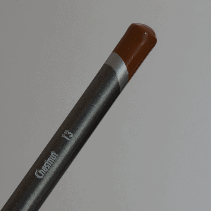 Chestnut Derwent Graphitint Tinted Graphite Pencil (13)