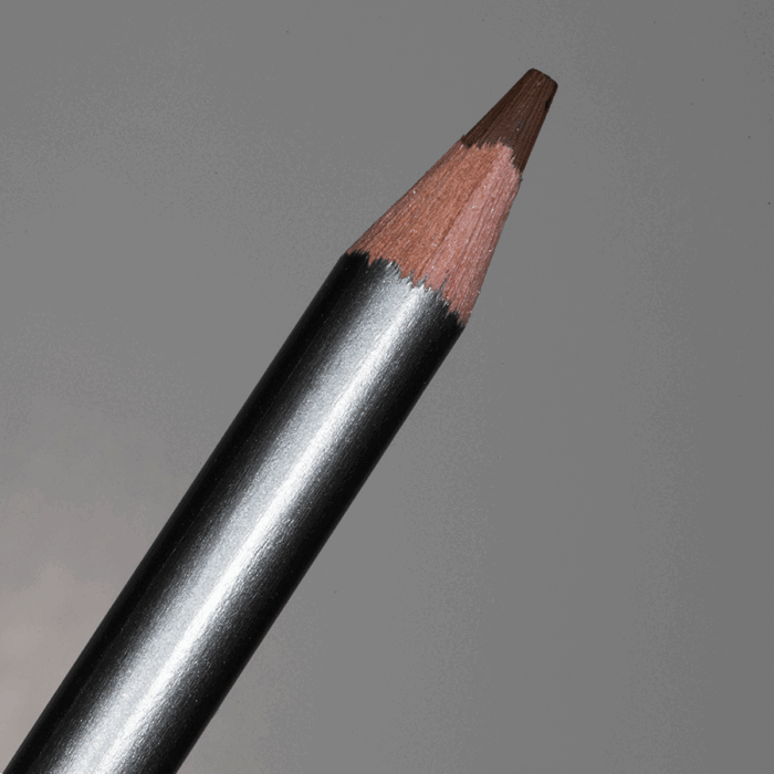 Russet Derwent Graphitint Tinted Graphite Pencil (14)