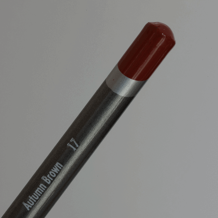 Autumn Brown Derwent Graphitint Tinted Graphite Pencil (17)